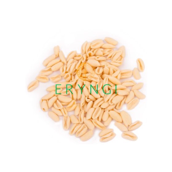 Cavatelli pasta artigianale pugliese.